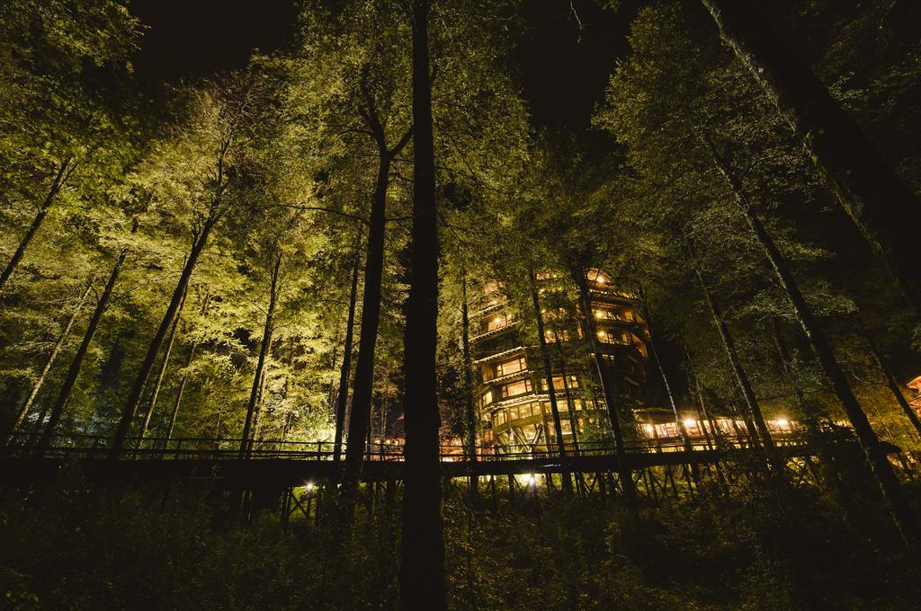 Huilo Huilo Nothofagus Hotel & Spa Puerto Fuy Exterior photo
